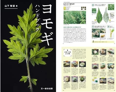 山下智道 wiki|知ることで、守れる。植物研究家が伝える「野草」の。